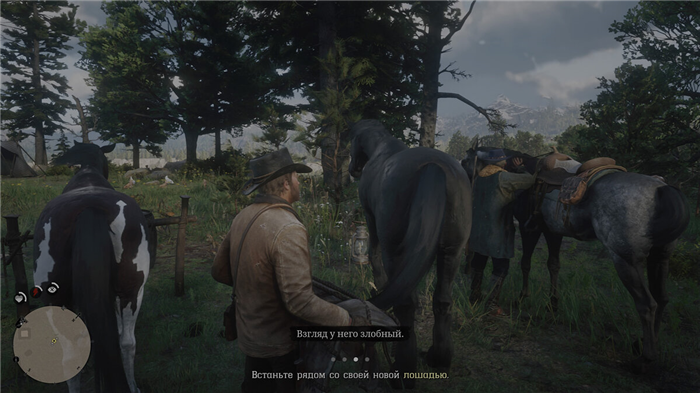 Как получить самую лучшую лошадь в Red Dead Redemption 2: породы лошадей, цены, характеристики, как чистить, приручать, воскрешать и прокачивать лошадь