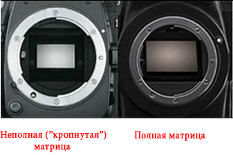 Визуальные размеры сенсоров фотоаппарата