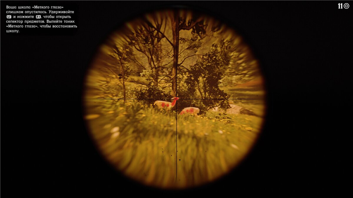 Охота в Red Dead Redemption 2 — как получить превосходную шкуру, выбрать оружие для охоты, где хранить шкуры, где искать разных животных