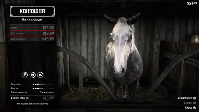 Как получить лучшую лошадь в Red Dead Redemption 2: скачки, цены, характеристики, способы чистки, туры, возрождение, обучение лошадей