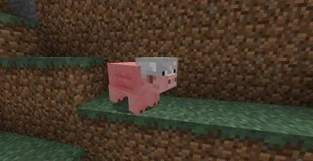 Как приручить свинью в Minecraft