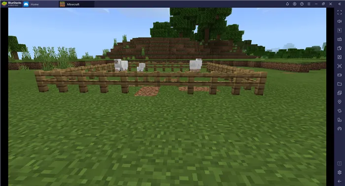 Как построить ферму животных в Minecraft?