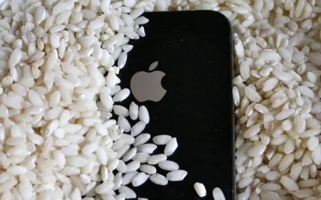 Смартфоны на рисе