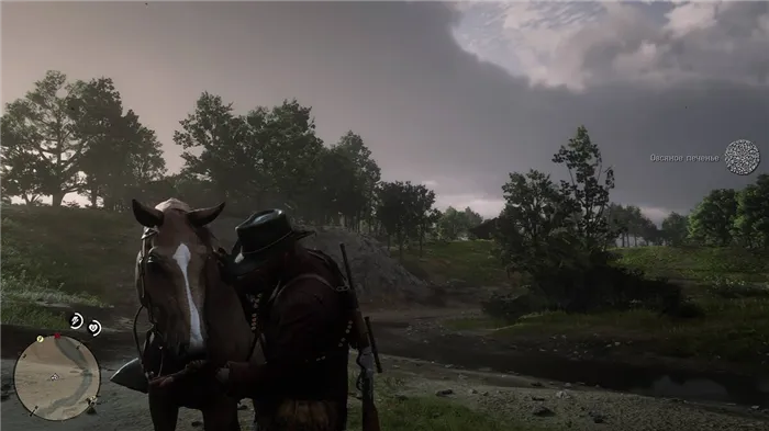 Как получить лучшую лошадь в Red Dead Redemption 2: породы лошадей, цены, особенности, чистка, приручение, оживление и модернизация